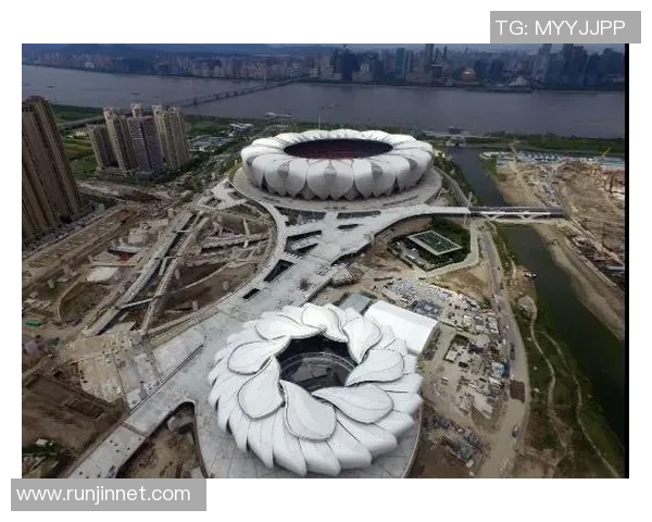 杭州排球队的奋斗历程与大师赛荣耀之路探秘